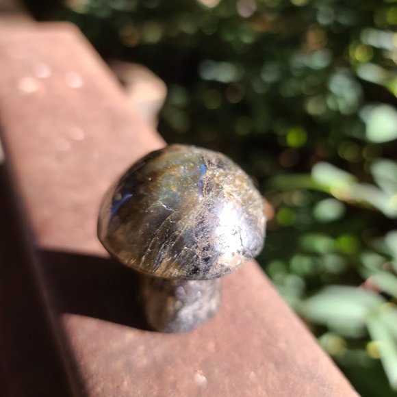 Laboradite hand carved mushroom 3" - Picture 9 of 10